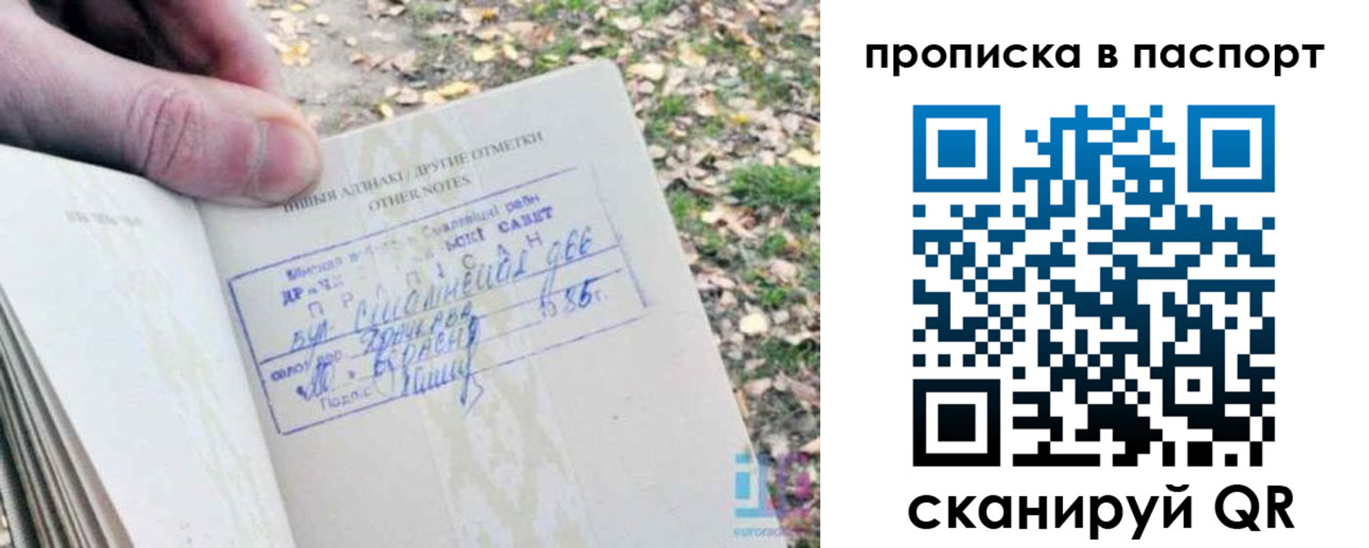 купить прописку в Болотном